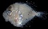  ( - MFLVI3397)  @12 [ ] Unspecified (default): All Rights Reserved  Jose Angel Cohuo Unspecified