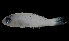  ( - MFLVI3451)  @12 [ ] Unspecified (default): All Rights Reserved  Jose Angel Cohuo Unspecified
