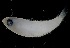  ( - MFLVI3453)  @12 [ ] Unspecified (default): All Rights Reserved  Jose Angel Cohuo Unspecified
