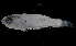  ( - MFLVI3454)  @12 [ ] Unspecified (default): All Rights Reserved  Jose Angel Cohuo Unspecified