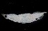  ( - MFLVI3595)  @12 [ ] Unspecified (default): All Rights Reserved  Jose Angel Cohuo Unspecified