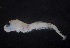  ( - MFLVI3611)  @12 [ ] Unspecified (default): All Rights Reserved  Jose Angel Cohuo Unspecified