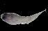  ( - MFLVI3637)  @12 [ ] Unspecified (default): All Rights Reserved  Jose Angel Cohuo Unspecified