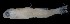  ( - MFLV4110)  @12 [ ] Unspecified (default): All Rights Reserved (2011) Jose Angel Cohuo El Colegio de la Frontera Sur