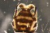  ( - DIP201-RW)  @11 [ ] Unspecified (default): All Rights Reserved (2023) Rink Wiggers Waardenburg Ecology