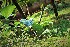  ( - veg048)  @11 [ ] Unspecified (default): All Rights Reserved  Unspecified Unspecified