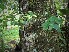  ( - veg049)  @11 [ ] Unspecified (default): All Rights Reserved  Unspecified Unspecified