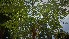  ( - veg052)  @11 [ ] Unspecified (default): All Rights Reserved  Unspecified Unspecified