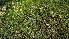  ( - veg056)  @11 [ ] Unspecified (default): All Rights Reserved  Unspecified Unspecified