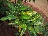  ( - veg083)  @11 [ ] Unspecified (default): All Rights Reserved  Unspecified Unspecified