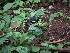  ( - veg087)  @11 [ ] Unspecified (default): All Rights Reserved  Unspecified Unspecified