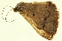  ( - TDGAB-1505)  @14 [ ] CreativeCommons - Attribution (2010) CBG Photography Group Centre for Biodiversity Genomics