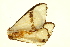  ( - TDGAB-1585)  @13 [ ] CreativeCommons - Attribution (2010) CBG Photography Group Centre for Biodiversity Genomics