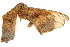  ( - TDGAB-1120)  @13 [ ] CreativeCommons - Attribution (2010) Unspecified Centre for Biodiversity Genomics