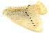  ( - TDGAB-1717)  @14 [ ] CreativeCommons - Attribution (2010) CBG Photography Group Centre for Biodiversity Genomics