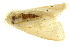  ( - TDGAB-1750)  @13 [ ] CreativeCommons - Attribution (2010) CBG Photography Group Centre for Biodiversity Genomics