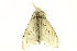  ( - TDGAB-1759)  @13 [ ] CreativeCommons - Attribution (2010) CBG Photography Group Centre for Biodiversity Genomics