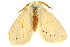  ( - TDGAB-1765)  @14 [ ] CreativeCommons - Attribution (2010) CBG Photography Group Centre for Biodiversity Genomics