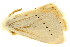 ( - TDGAB-1835)  @14 [ ] CreativeCommons - Attribution (2010) CBG Photography Group Centre for Biodiversity Genomics