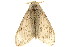  ( - TDGAB-1392)  @14 [ ] CreativeCommons - Attribution (2010) Unspecified Centre for Biodiversity Genomics
