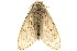  ( - TDGAB-1393)  @14 [ ] CreativeCommons - Attribution (2010) Unspecified Centre for Biodiversity Genomics