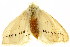  ( - TDGAB-1867)  @14 [ ] CreativeCommons - Attribution (2010) CBG Photography Group Centre for Biodiversity Genomics