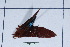 ( - Lope11-0733)  @12 [ ] Copyright (2011) Rodolpher Rougerie University of Rouen