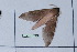  ( - Lope11-0861)  @12 [ ] Copyright (2011) Rodolpher Rougerie University of Rouen