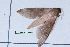  ( - Lope11-0863)  @12 [ ] Copyright (2011) Rodolpher Rougerie University of Rouen