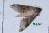  ( - Lope11-0888)  @13 [ ] Copyright (2011) Rodolpher Rougerie University of Rouen