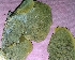  ( - BAB 3990)  @11 [ ] Unspecified (default): All Rights Reserved  Unspecified Unspecified