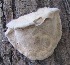  ( - BAB 3995)  @11 [ ] Unspecified (default): All Rights Reserved  Unspecified Unspecified