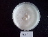  ( - BAB 4512)  @11 [ ] Copyright (2015) Gujarat Biodiversity Gene Bank, GSBTM, DST, GoG Gujarat Biodiversity Gene Bank, GSBTM, DST, GoG