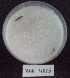  ( - BAB 4525)  @11 [ ] Copyright (2015) Gujarat Biodiversity Gene Bank, GSBTM, DST, GoG Gujarat Biodiversity Gene Bank, GSBTM, DST, GoG