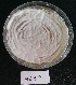  ( - BAB 4659)  @11 [ ] Copyright (2015) Gujarat Biodiversity Gene Bank, GSBTM, DST, GoG Gujarat Biodiversity Gene Bank, GSBTM, DST, GoG