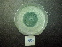  ( - BAB 4904)  @11 [ ] Copyright (2015) Gujarat Biodiversity Gene Bank, GSBTM, DST, GoG Gujarat Biodiversity Gene Bank, GSBTM, DST, GoG