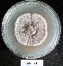  ( - BAB 5425)  @11 [ ] Copyright (2015) Gujarat Biodiversity Gene Bank, GSBTM, DST, GoG Gujarat Biodiversity Gene Bank, GSBTM, DST, GoG