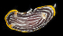  (Goniobranchus lineolatus - BHKG-0251)  @11 [ ] by-nc-sa (2018) Unspecified the Florida Museum of Natural History (FLMNH) and University of Hong Kong's Swire Institute of Marine Science
