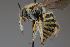  ( - mbou232)  @11 [ ] nrr (2021) Unspecified UMONS