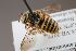  ( - mbou245)  @11 [ ] nrr (2021) Unspecified UMONS