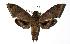  ( - 83-SRNP-536A)  @14 [ ] Unspecified (default): All Rights Reserved  Unspecified Unspecified
