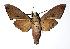  ( - 83-SRNP-536A)  @14 [ ] Unspecified (default): All Rights Reserved  Unspecified Unspecified