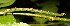  ( - 02-SRNP-8483)  @12 [ ] CreativeCommons - Attribution Non-Commercial Share-Alike (2013) Daniel H. Janzen Guanacaste Dry Forest Conservation Fund