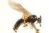  ( - CHU06-ANT-005)  @14 [ ] Unspecified (default): All Rights Reserved  Unspecified Unspecified