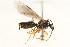  ( - CHU06-ANT-007)  @14 [ ] Unspecified (default): All Rights Reserved  Unspecified Unspecified