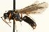 ( - CHU06-ANT-009)  @14 [ ] Unspecified (default): All Rights Reserved  Unspecified Unspecified