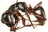  ( - CHU06-ANT-012)  @14 [ ] Unspecified (default): All Rights Reserved  Unspecified Unspecified