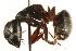  ( - CHU06-ANT-013)  @14 [ ] Unspecified (default): All Rights Reserved  Unspecified Unspecified