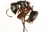  ( - CHU06-ANT-016)  @14 [ ] Unspecified (default): All Rights Reserved  Unspecified Unspecified
