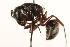  ( - CHU06-ANT-018)  @14 [ ] Unspecified (default): All Rights Reserved  Unspecified Unspecified